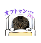 ハッピー＆ラッキースタンプ(=^ェ^=) ⑥（個別スタンプ：6）