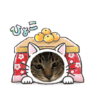 ハッピー＆ラッキースタンプ(=^ェ^=) ⑥（個別スタンプ：13）