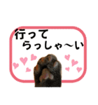 ハッピー＆ラッキースタンプ(=^ェ^=) ⑥（個別スタンプ：40）