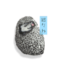 恋家…みんなみんな大好き♡（個別スタンプ：7）
