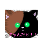 Cats♡猫ちゃんの日常スタンプ（個別スタンプ：14）