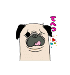 I LOVE PUG♡パグちゃんと日常【修正版】（個別スタンプ：6）