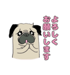 I LOVE PUG♡パグちゃんと日常【修正版】（個別スタンプ：11）