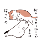 犬と猫（猫ましまし）（個別スタンプ：37）