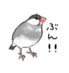 みんなのふくふく文鳥1（個別スタンプ：7）