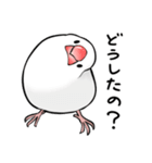 みんなのふくふく文鳥1（個別スタンプ：8）