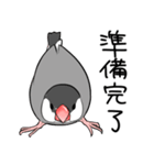 みんなのふくふく文鳥1（個別スタンプ：11）