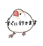 みんなのふくふく文鳥1（個別スタンプ：12）