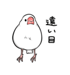 みんなのふくふく文鳥1（個別スタンプ：21）