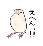 みんなのふくふく文鳥1（個別スタンプ：22）