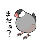 みんなのふくふく文鳥1（個別スタンプ：28）