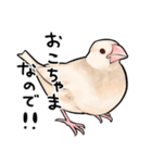 みんなのふくふく文鳥1（個別スタンプ：37）