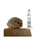 齧歯類と時々私。（個別スタンプ：2）