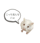 齧歯類と時々私。（個別スタンプ：18）