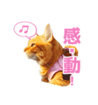 かいたんたんたん 2023.02.17（個別スタンプ：3）