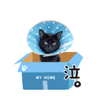 かいたんたんたん 2023.02.17（個別スタンプ：5）