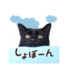 かいたんたんたん 2023.02.17（個別スタンプ：7）
