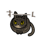 見上げ猫キジトラスタンプ（個別スタンプ：4）