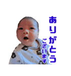 毎日こよこよ（個別スタンプ：5）