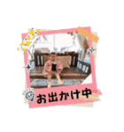 みぃちゃん6（個別スタンプ：4）