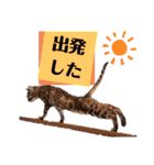 四文字キューブの猫スタンプ（個別スタンプ：9）