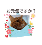 たわなつ6（個別スタンプ：2）
