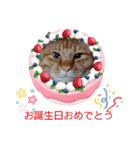 たわなつ6（個別スタンプ：3）