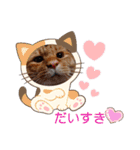 たわなつ6（個別スタンプ：4）