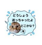 たわなつ6（個別スタンプ：7）