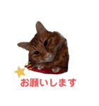 たわなつ6（個別スタンプ：9）