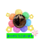 たわなつ6（個別スタンプ：11）