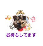 たわなつ6（個別スタンプ：12）
