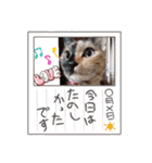 たわなつ6（個別スタンプ：13）