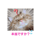 たわなつ6（個別スタンプ：14）