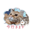 たわなつ6（個別スタンプ：15）