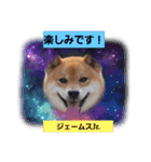 柴犬ジェームス11（個別スタンプ：15）