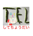 ねこといんげん文字（個別スタンプ：10）