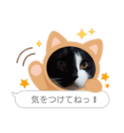 ルルコタ日常（個別スタンプ：8）