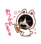 ルルコタ日常（個別スタンプ：9）