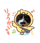 ルルコタ日常（個別スタンプ：11）