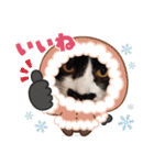ルルコタ日常（個別スタンプ：13）