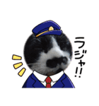 ルルコタ日常（個別スタンプ：15）