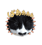 ルルコタ日常（個別スタンプ：19）