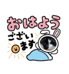 ルルコタ日常（個別スタンプ：22）