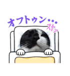 ルルコタ日常（個別スタンプ：24）