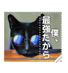 【ねこ】猫サングラスかわいい（個別スタンプ：6）