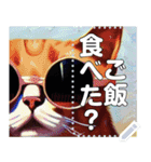 【ねこ】猫サングラスかわいい（個別スタンプ：11）