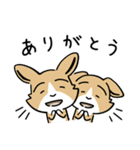 プリムを作った青い犬 Vol.1（個別スタンプ：2）