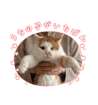 BIG_LOVE（個別スタンプ：2）
