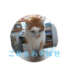 BIG_LOVE（個別スタンプ：6）